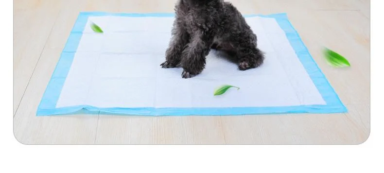 Wholesalers Casoft Disposable Extra Large Washable PEE Puppy Pet Dog Cat Toilet Training Pads Supply Korea Japan UK