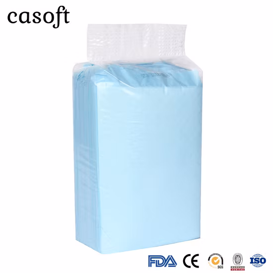 도매업자 Casoft 일회용 초대형 세척 가능 PEE 강아지 애완견 고양이 화장실 훈련 패드 공급 한국 일본 영국